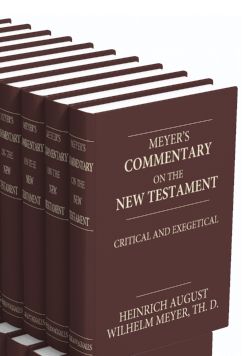 Critical and Exegetical Commentary NT