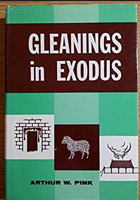 Pink-Exodus-gleanings